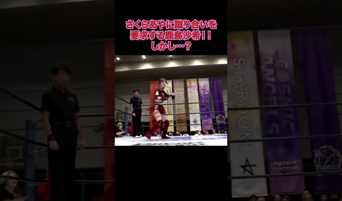 空手経験者のさくらあやに蹴り合いを申し込む鹿島沙希！ #stardom #shorts  #スターダム #女子プロレス #prowrestling #プロレス