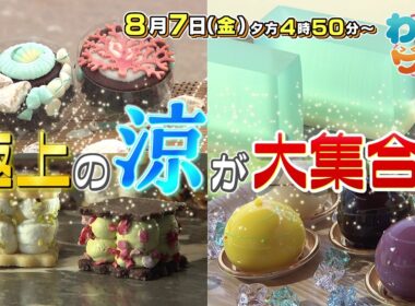 【番宣】水族館から中継！▽見て！食べて‼涼を味わう極上おやつ！松山発の大人気ケーキにも感動！▽わいワイ！Friday 2026/08/07（金）午後4:50!