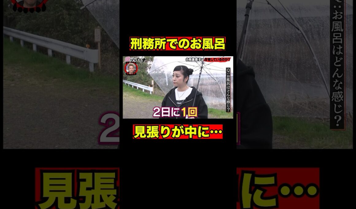 小向美奈子が語る、刑務所での風呂事情｜#愛のハイエナ シーズン2 #ABEMA で無料配信中！ #ニューヨーク #さらば青春の光