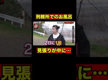 小向美奈子が語る、刑務所での風呂事情｜#愛のハイエナ シーズン2 #ABEMA で無料配信中！ #ニューヨーク #さらば青春の光