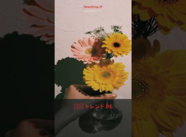 宇賀なつみが第1子妊娠を発表！元NHK美人アナに祝福殺到 #Shorts #August2026 #日本ニュース
