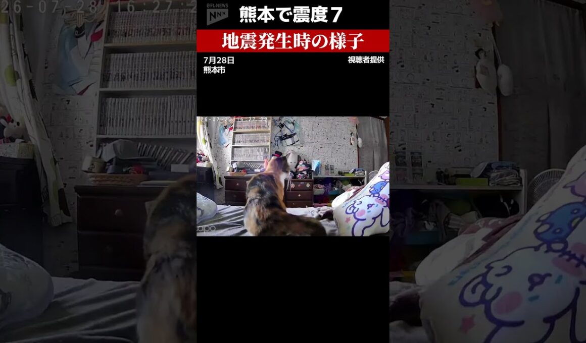 【熊本で震度７】ペットカメラがとらえた地震発生時の様子