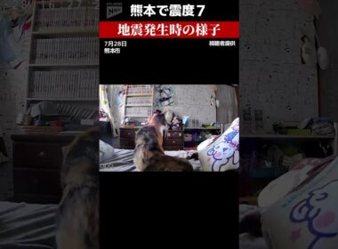 【熊本で震度７】ペットカメラがとらえた地震発生時の様子