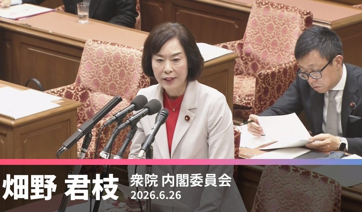 【畑野君枝】国旗損壊処罰法の問題点について　2026.6.26【国会質問】
