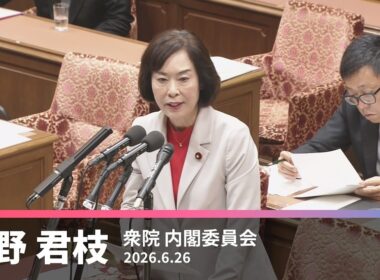 【畑野君枝】国旗損壊処罰法の問題点について　2026.6.26【国会質問】