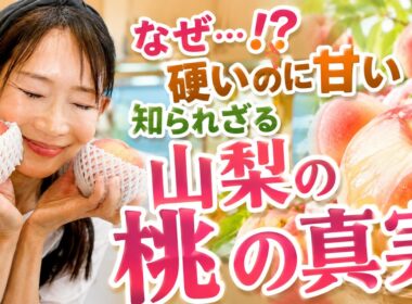 なぜ…⁉️硬いのに甘い 知られざる山梨の桃の真実｜武川智美のマチュピッチュ♡