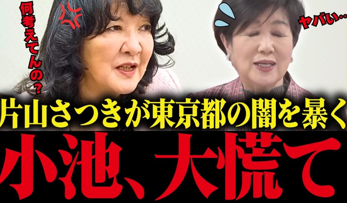 【小池百合子】※片山さつきが東京都のヤバい事情を取り上げる！小池ビビりまくる...【小池都知事 さとうさおり 都議会 カイロ大学 学歴詐称疑惑】