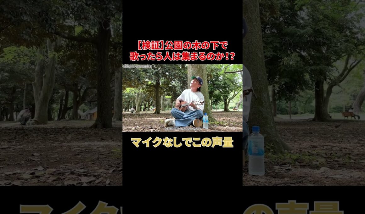 公園で弾き語る「歌うたいのバラッド」#shorts