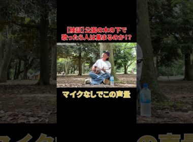 公園で弾き語る「歌うたいのバラッド」#shorts