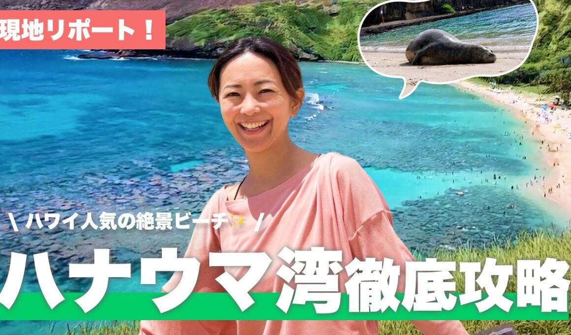【ハナウマベイ完全攻略】ワイキキから行く全米No.1ビーチ！予約・料金・持ち物から激レア遭遇まで徹底ガイド🤿【オアフ島】