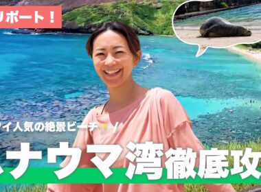 【ハナウマベイ完全攻略】ワイキキから行く全米No.1ビーチ！予約・料金・持ち物から激レア遭遇まで徹底ガイド🤿【オアフ島】