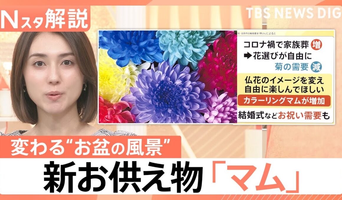 「夜のお墓参り」が新定番に？普段使いしたくなるお供え物「マム」って？らくがん“レンチン”で新食感【Nスタ解説】｜TBS NEWS DIG
