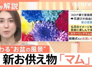 「夜のお墓参り」が新定番に？普段使いしたくなるお供え物「マム」って？らくがん“レンチン”で新食感【Nスタ解説】｜TBS NEWS DIG