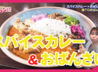 【新店】カレー×おばんざい その相性は？／きょうと経済テラス キュンと！