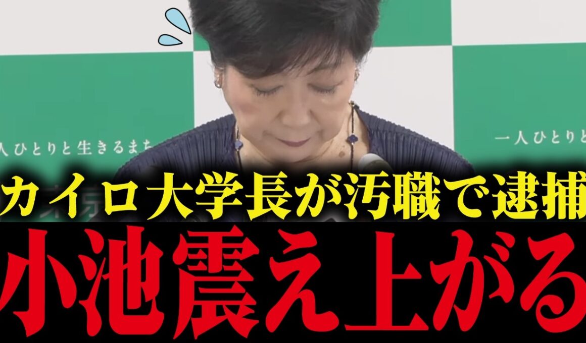 【小池百合子】癒着疑惑のカイロ大学長が逮捕...小池の学歴詐称疑惑が明るみに...【小池都知事 さとうさおり 都議会】