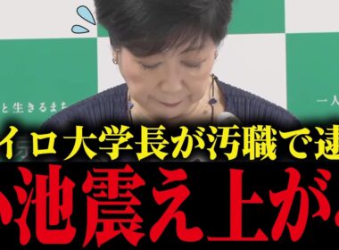 【小池百合子】癒着疑惑のカイロ大学長が逮捕...小池の学歴詐称疑惑が明るみに...【小池都知事 さとうさおり 都議会】