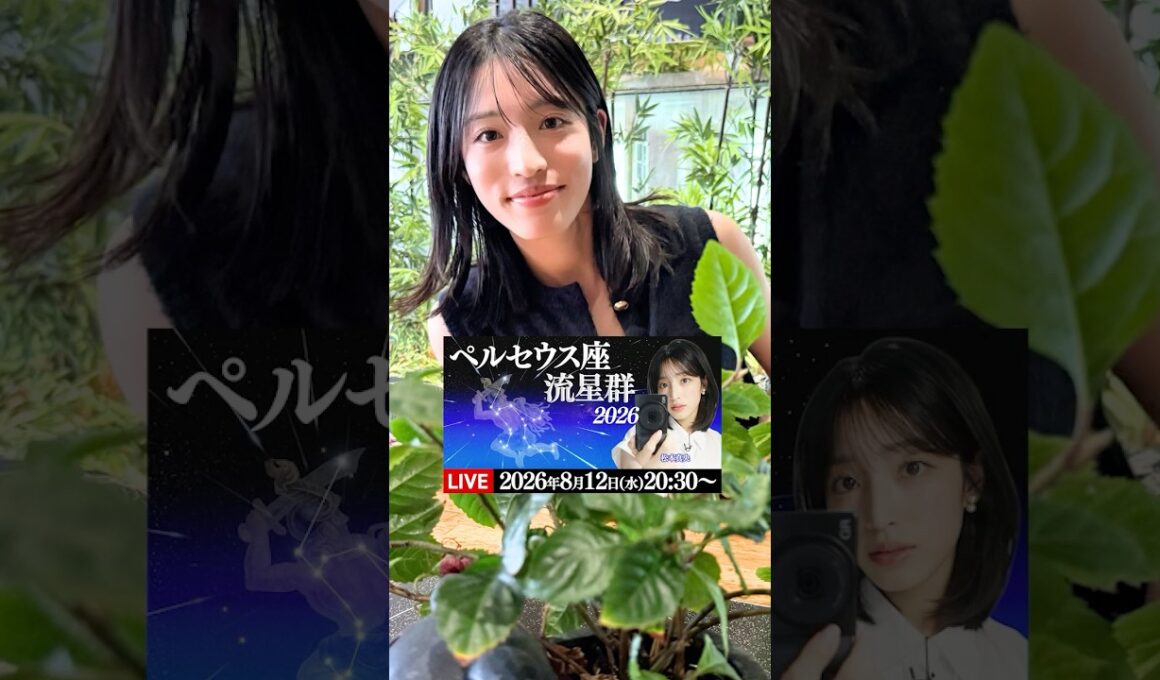 【ペルセウス座流星群2026】中継までのひととき⭐️松本真央 #ペルセウス座流星群 #松本真央