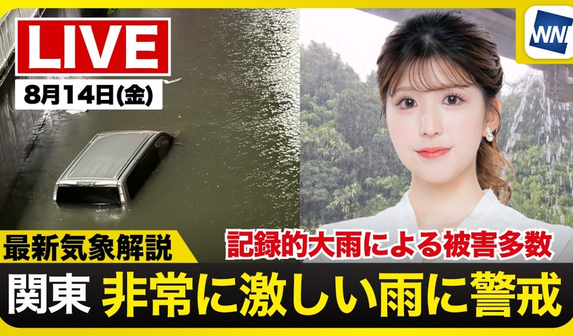 【ライブ】最新天気ニュース・地震情報 2026年8月14日(金)20:00〜 ／全国各地で雨雲が急発達　激しい雷雨に要注意〈ウェザーニュースLiVEムーン・小林李衣奈／宇野沢達也〉