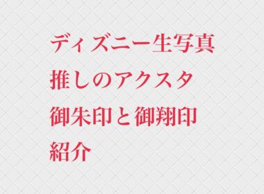 ディズニー生写真、推しのアクスタ、御朱印と御翔印　紹介