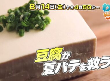 【番宣】▽脳の夏バテ予防に豆腐!?▽大人の社会見学・フォークリフトの秘密は…!?▽わいワイ! Friday 2026/08/14（金）午後4:50～