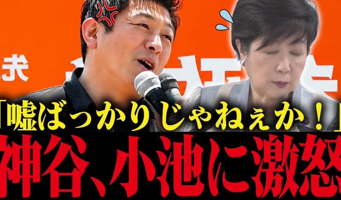 【小池百合子】※神谷宗幣が演説で小池の学歴詐称・外国人優遇にブチギレ！小池、震え上がる....【小池都知事 さとうさおり カイロ大学 学歴詐称疑惑】