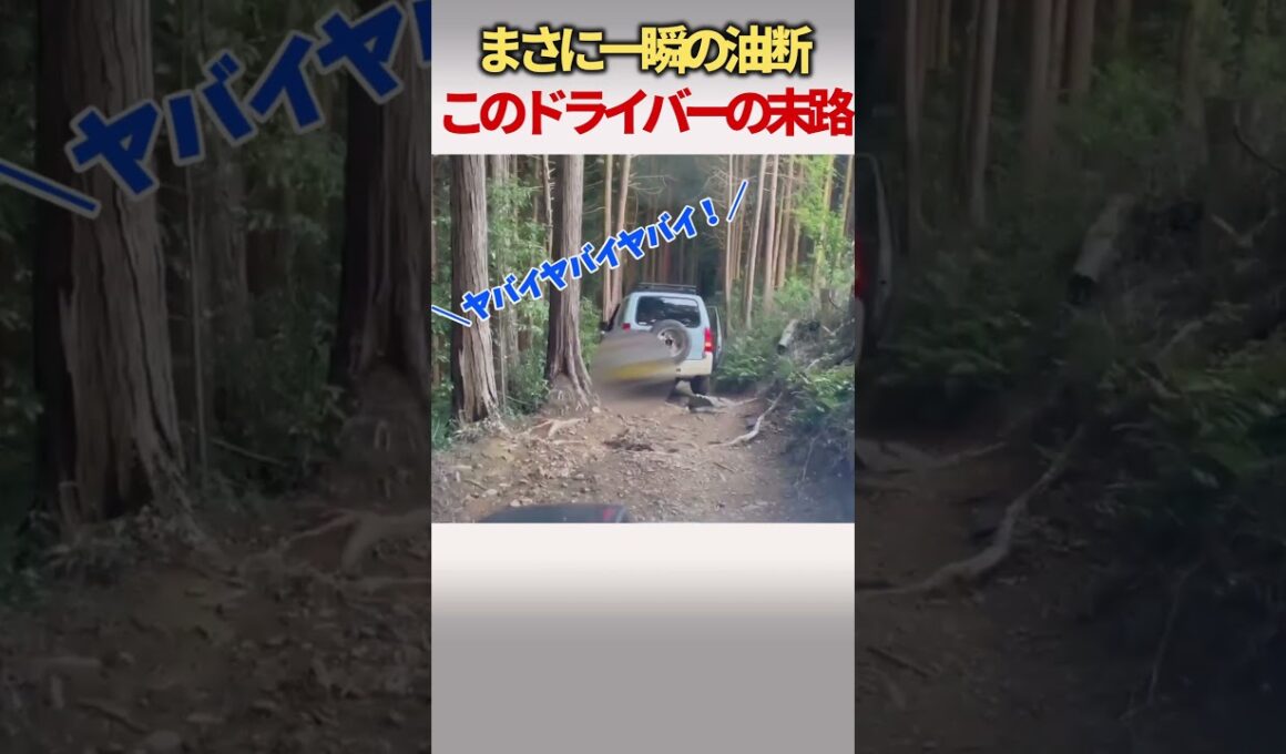 【放送事故】え？ここで降りるの！？次の瞬間、運転手が崖に消えたヤバすぎるドラレコ映像