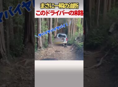 【放送事故】え？ここで降りるの！？次の瞬間、運転手が崖に消えたヤバすぎるドラレコ映像