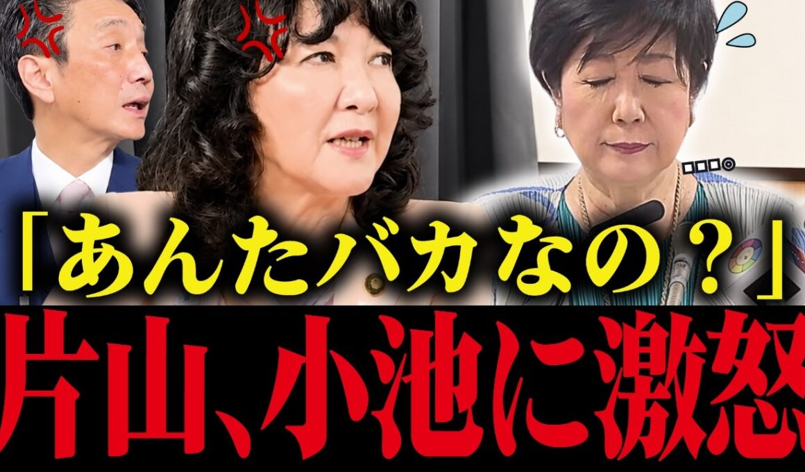 【小池百合子】片山さつきが小池のアホ政策を公開処刑！小池震え上がる...【小池都知事 さとうさおり 都議会 カイロ大学】