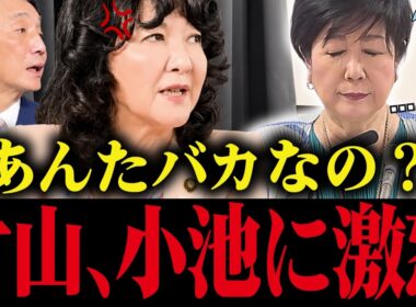 【小池百合子】片山さつきが小池のアホ政策を公開処刑！小池震え上がる...【小池都知事 さとうさおり 都議会 カイロ大学】