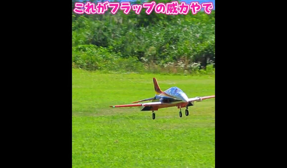 着陸するAvanti S #ラジコン飛行機
