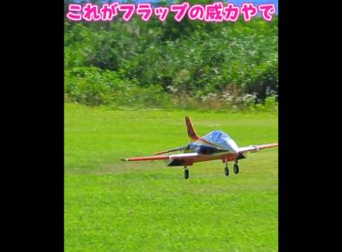 着陸するAvanti S #ラジコン飛行機