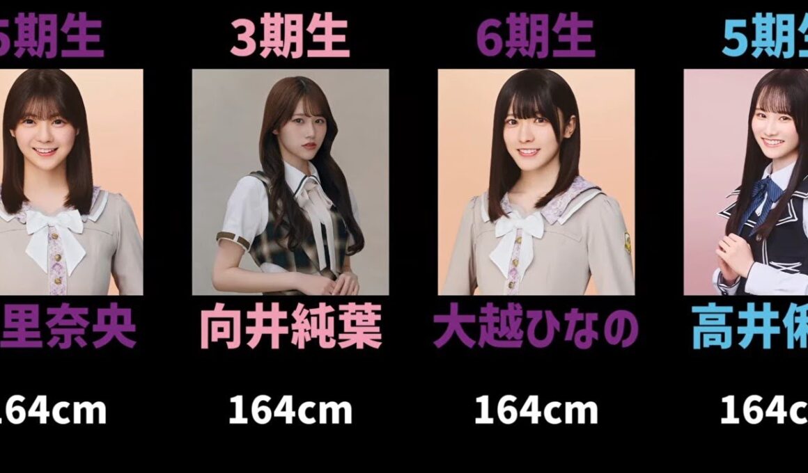 【訂正版をご覧ください！】歴代の坂道メンバー+αを身長順に並べてみた【2026年8月現在】