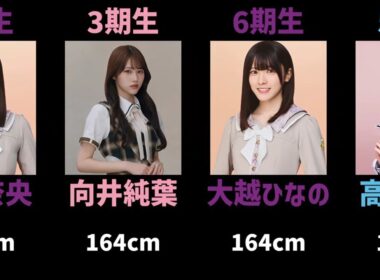 【訂正版をご覧ください！】歴代の坂道メンバー+αを身長順に並べてみた【2026年8月現在】