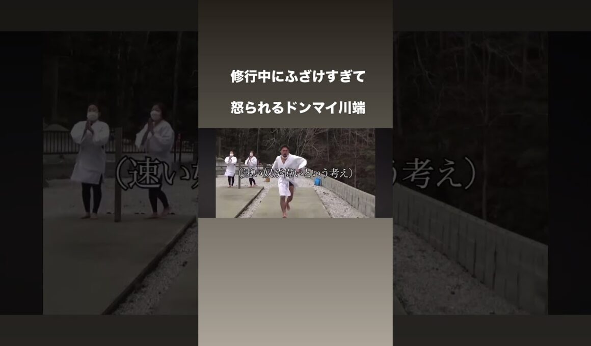 滝行修行で怒られるドンマイ川端#shorts #ドンマイ川端#柔道#格闘技#おすすめにのりたい