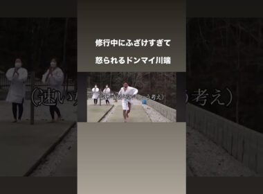 滝行修行で怒られるドンマイ川端#shorts #ドンマイ川端#柔道#格闘技#おすすめにのりたい