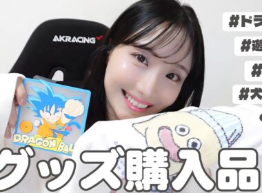 【購入品紹介】趣味グッズを紹介するよ🎮🤍激アツコラボ🤍アニメ/ゲーム/コラボ/シール☁️