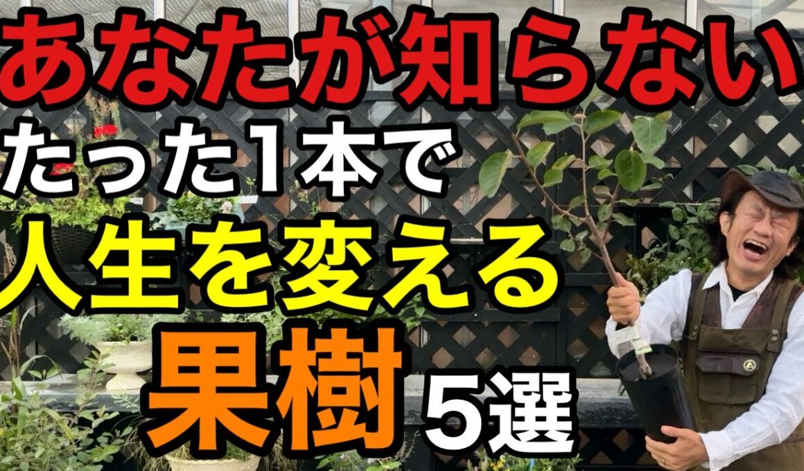【庭でも鉢でも】1本で極上の実がなる果樹教えます　　　　【カーメン君】【園芸】【ガーデニング】【初心者】