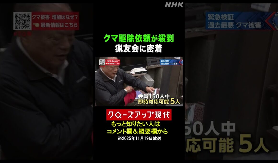 クマ駆除依頼が殺到…猟友会の限界とは【クロ現】| NHK | #shorts