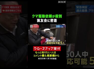 クマ駆除依頼が殺到…猟友会の限界とは【クロ現】| NHK | #shorts