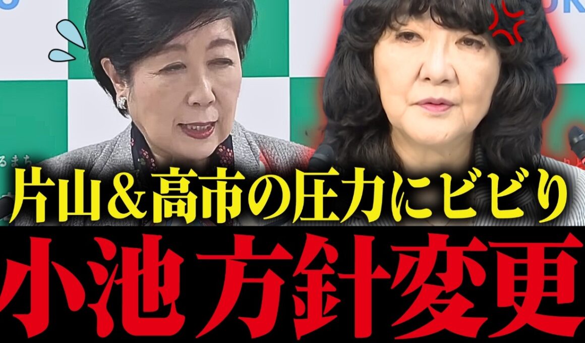 【小池百合子】片山さつきに追い詰められた小池、都議会で衝撃の発表をする【さとうさおり 小池都知事 カイロ大学 学歴詐称疑惑】