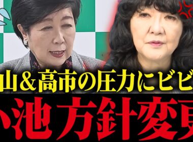 【小池百合子】片山さつきに追い詰められた小池、都議会で衝撃の発表をする【さとうさおり 小池都知事 カイロ大学 学歴詐称疑惑】