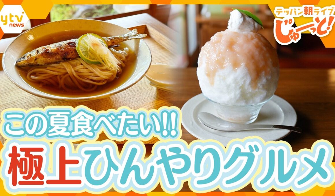 古都で味わう極上ひんやりグルメ！この夏食べたい！名物「鮎麺」＆絶品ふわふわかき氷【テッパン朝ライブ じゅーっと！/じゅーっ特集！生中継】