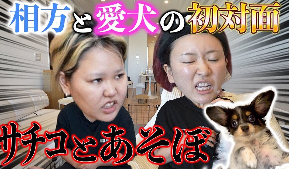 【初対面】急にワンちゃんに会わせたら先輩ママすぎてアッパレwww