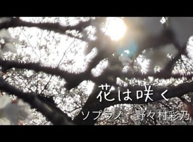花は咲く「花は咲くプロジェクト」歌/野々村彩乃　作詞/岩井俊二 作曲/菅野よう子