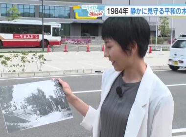 ４２年前のこの写真、どこで撮られた？　平和の大切さと命の尊さを伝え続ける被爆エノキとは　広島市中区 (2026/08/17 17:52)