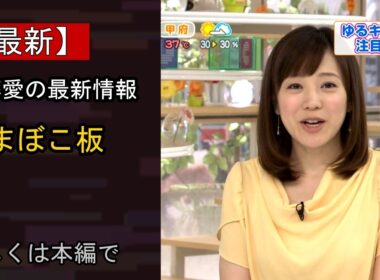 【注目】TBS江藤愛アナ、学校プールに「かまぼこ板」大分の“あるある”披露 安住アナら驚き「誰がいなくなっていないか、一目瞭然ということですね」…いったい何が？
