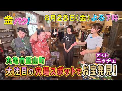 【ニッチェ】8/28金バク！丸亀市飯山町周辺でお宝探し！【放送終了後FOD・TVer・U-NEXT公開】