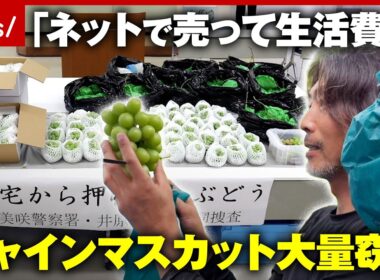 【大量窃盗】限界集落の生き残り策なのに…シャインマスカット「日本は盗まれない」前提が崩壊の現実｜ABEMA的ニュースショー