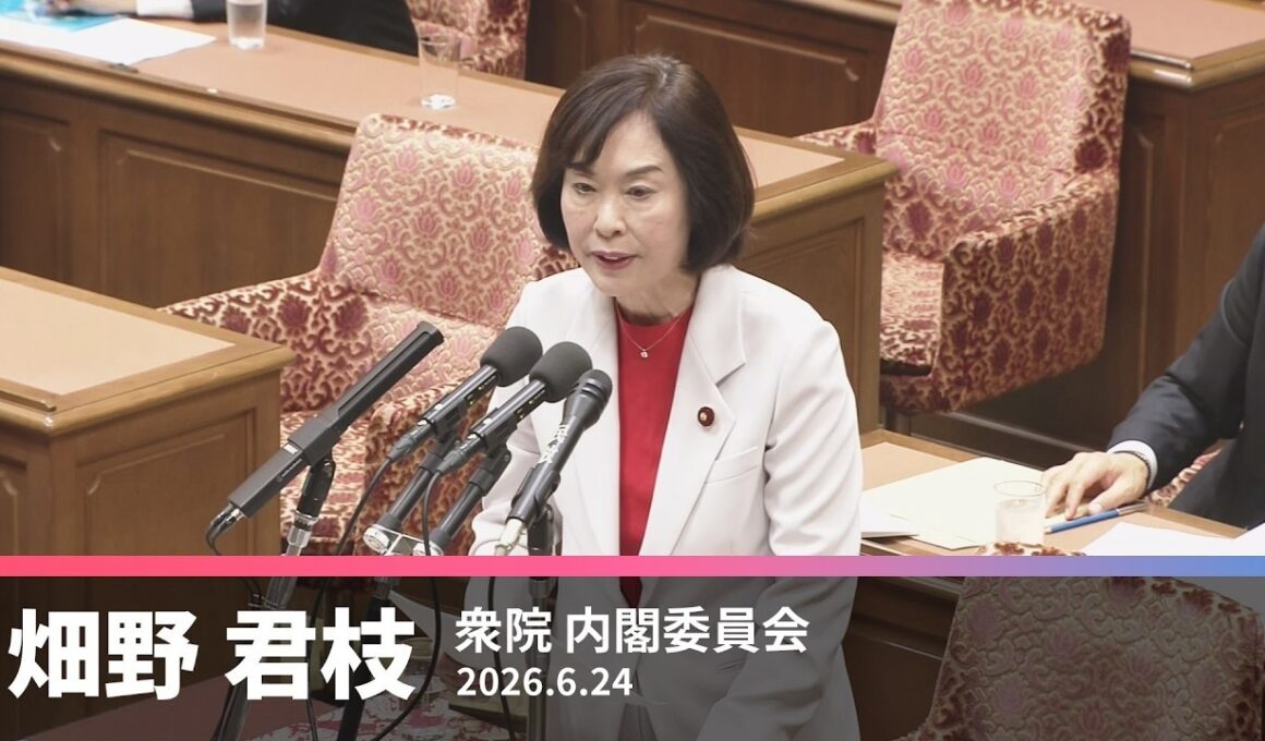 【畑野君枝】国旗損壊処罰法の問題点について　2026.6.24【国会質問】