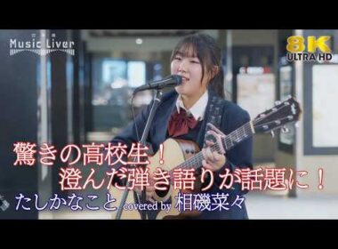【 衝撃 】驚きの高校生！澄んだ弾き語りが話題に！ たしかなこと / 小田和正（ covered by 相磯菜々 ）日本橋路上ライブ 🎧推奨 高音質 8K映像